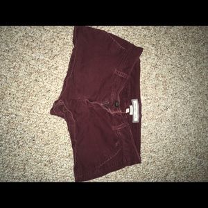 Maroon velvet shorts